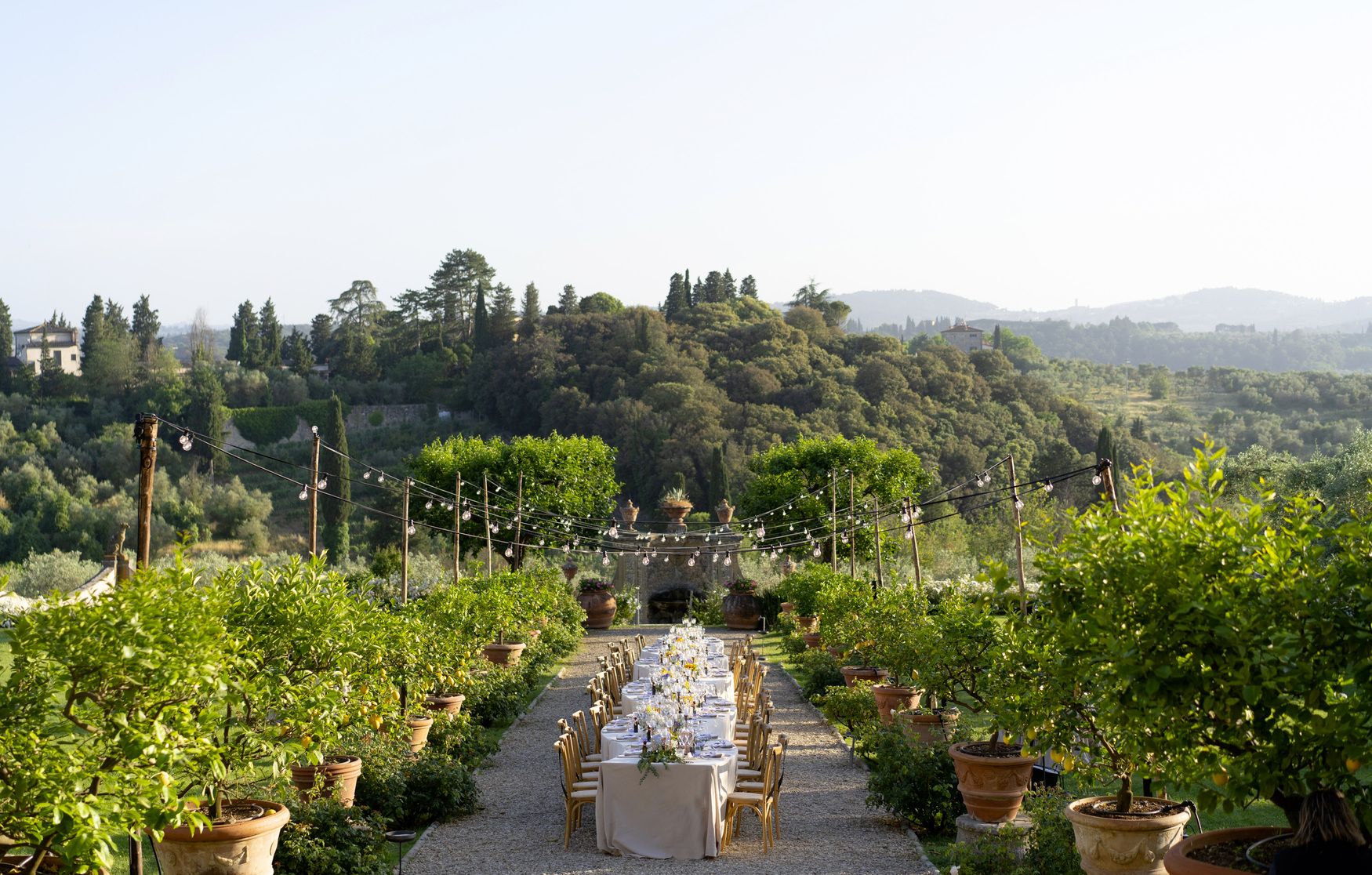 Wedding dinner in the Italian garden with lemons of a Tuscany villa